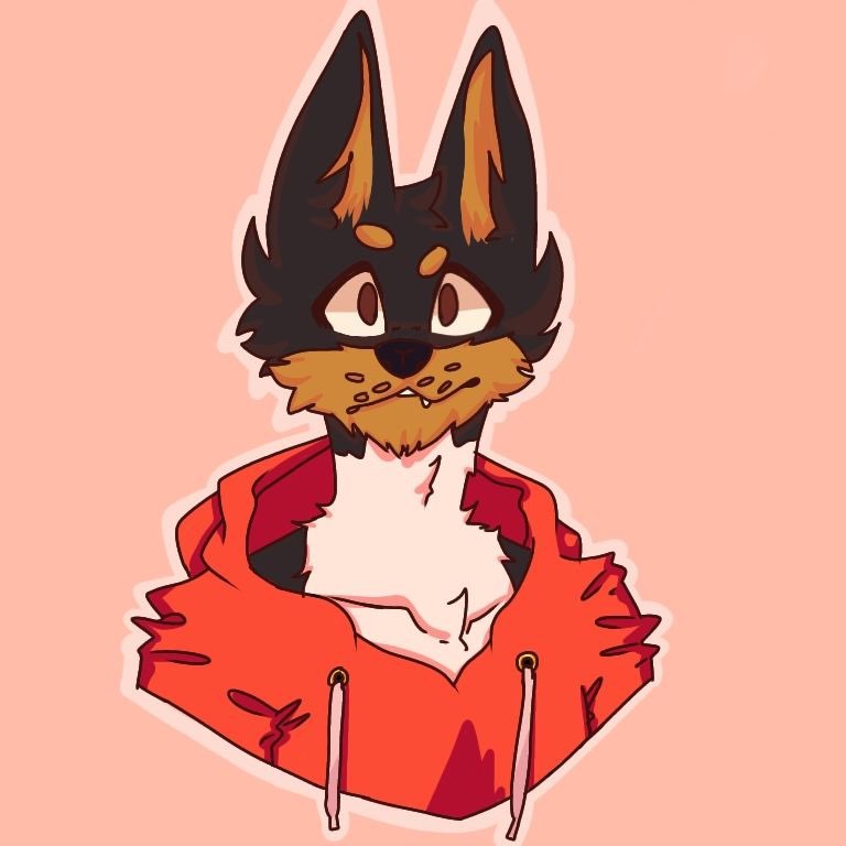 cynir's profile picture