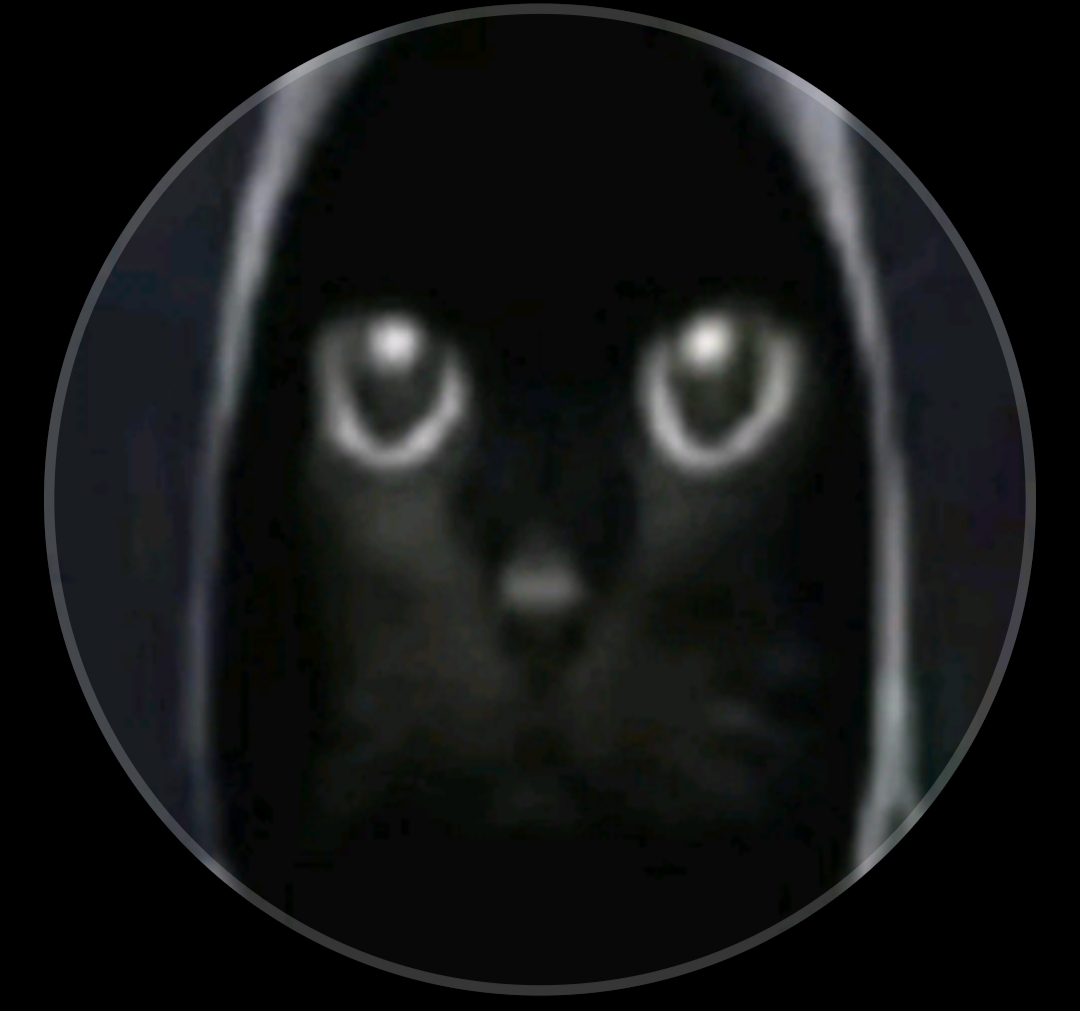Shmara's profile picture