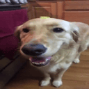 rangeusage's profile picture